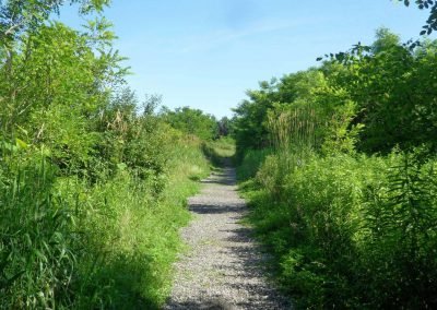 Whitby Lynde Shores ~ Trail